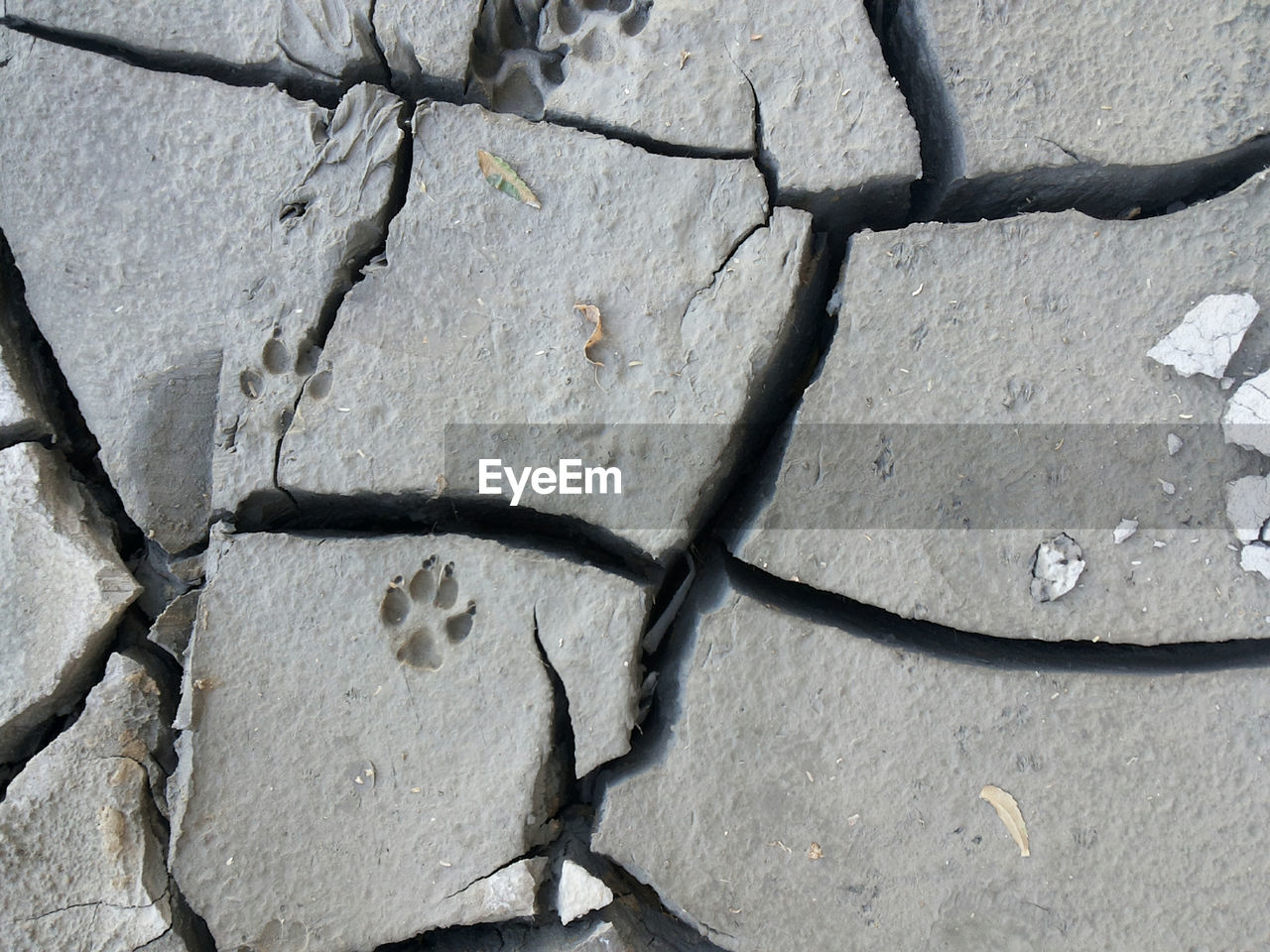 FULL FRAME SHOT OF CRACKED LAND