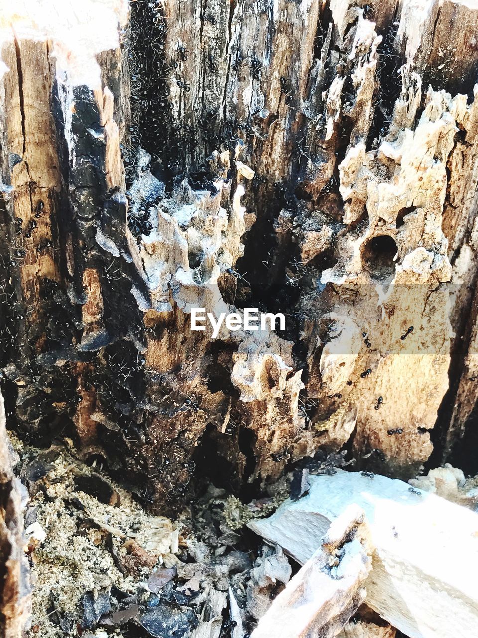 CLOSE-UP OF WATER FLOWING THROUGH ROCKS