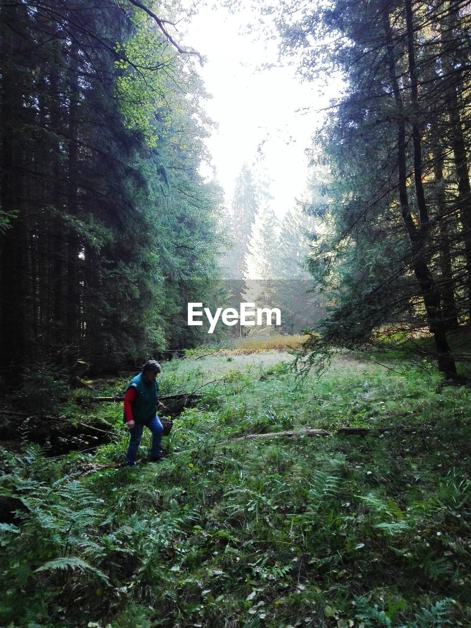 Woman walking in forest