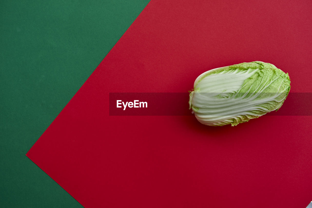 High angle view of cabbage against two tone background