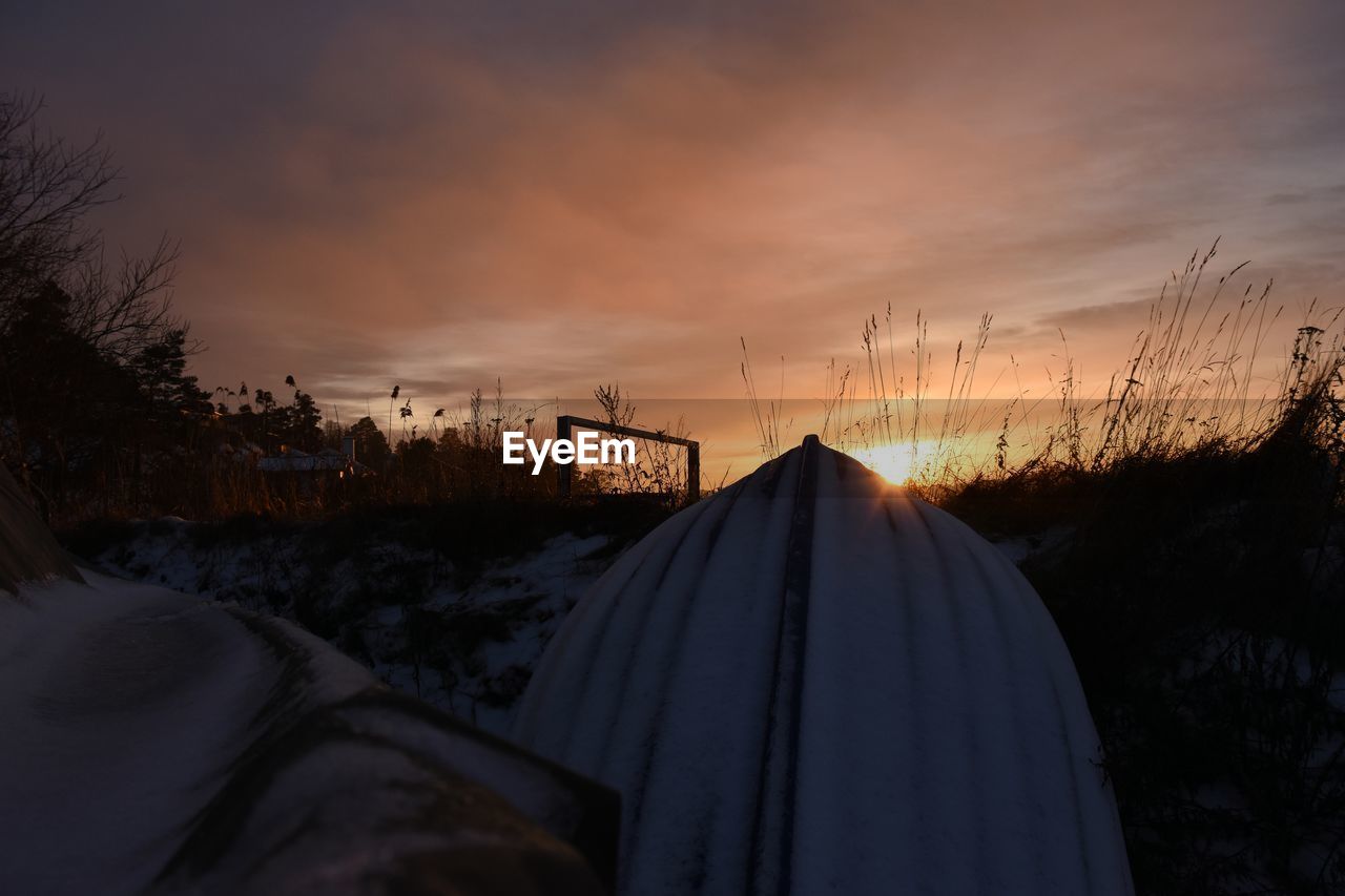 Snow covered trees against sky during sunset