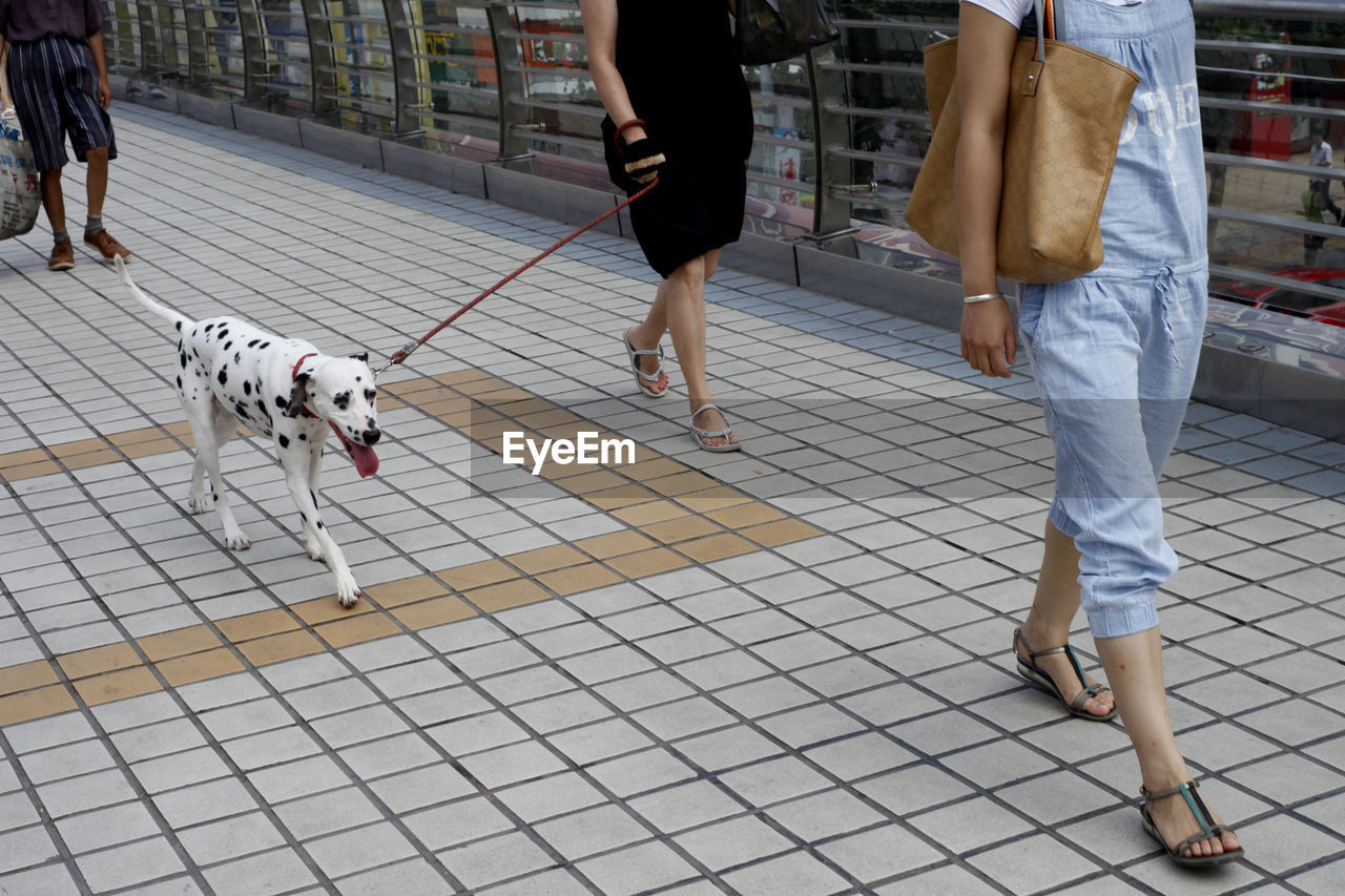 Low section of people walking footpath