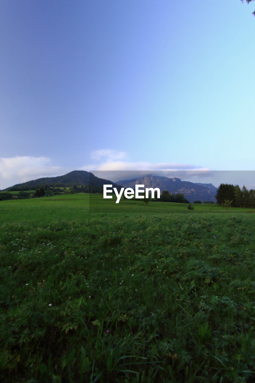 SCENIC VIEW OF LAND AGAINST SKY