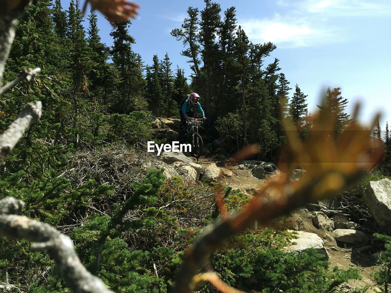 PEOPLE RIDING BICYCLE ON PLANTS IN FOREST