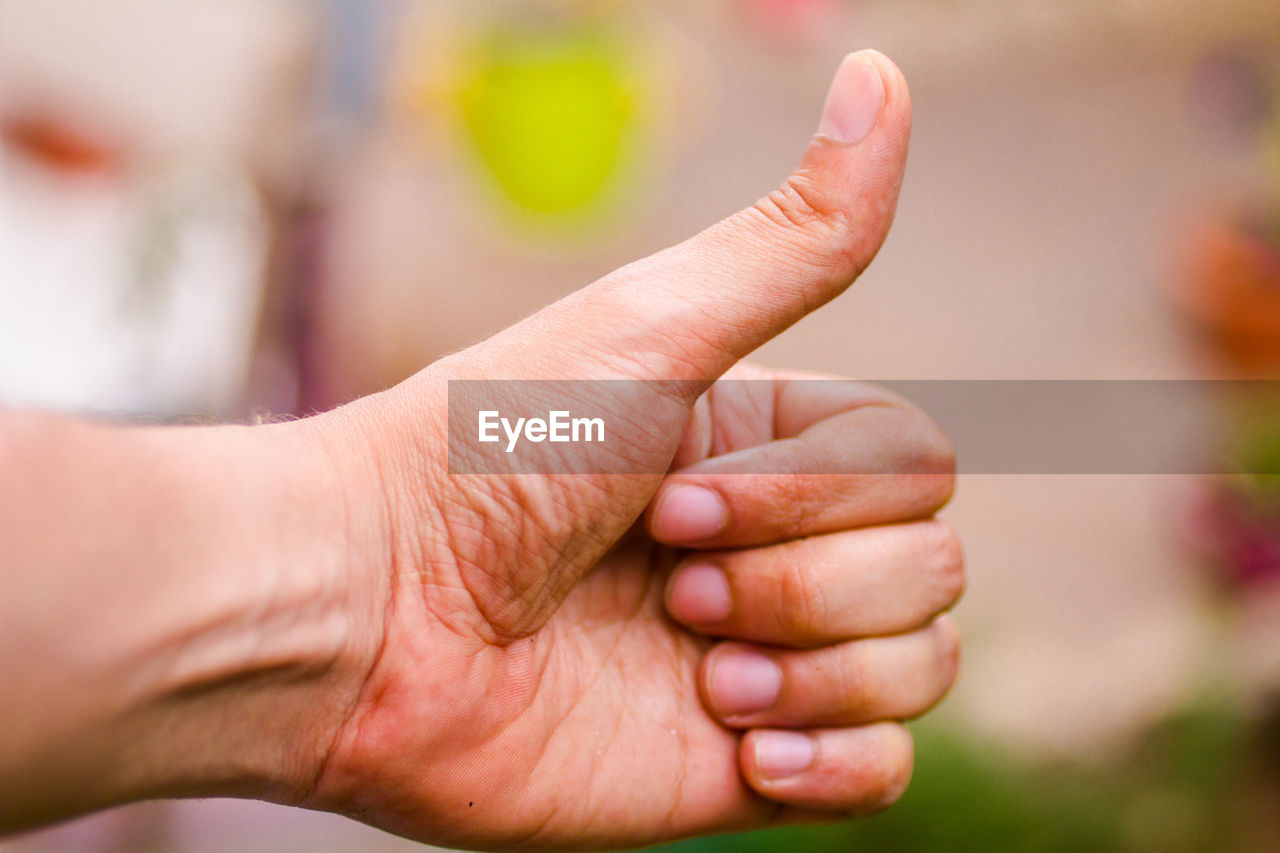 Cropped hand gesturing thumbs up sign