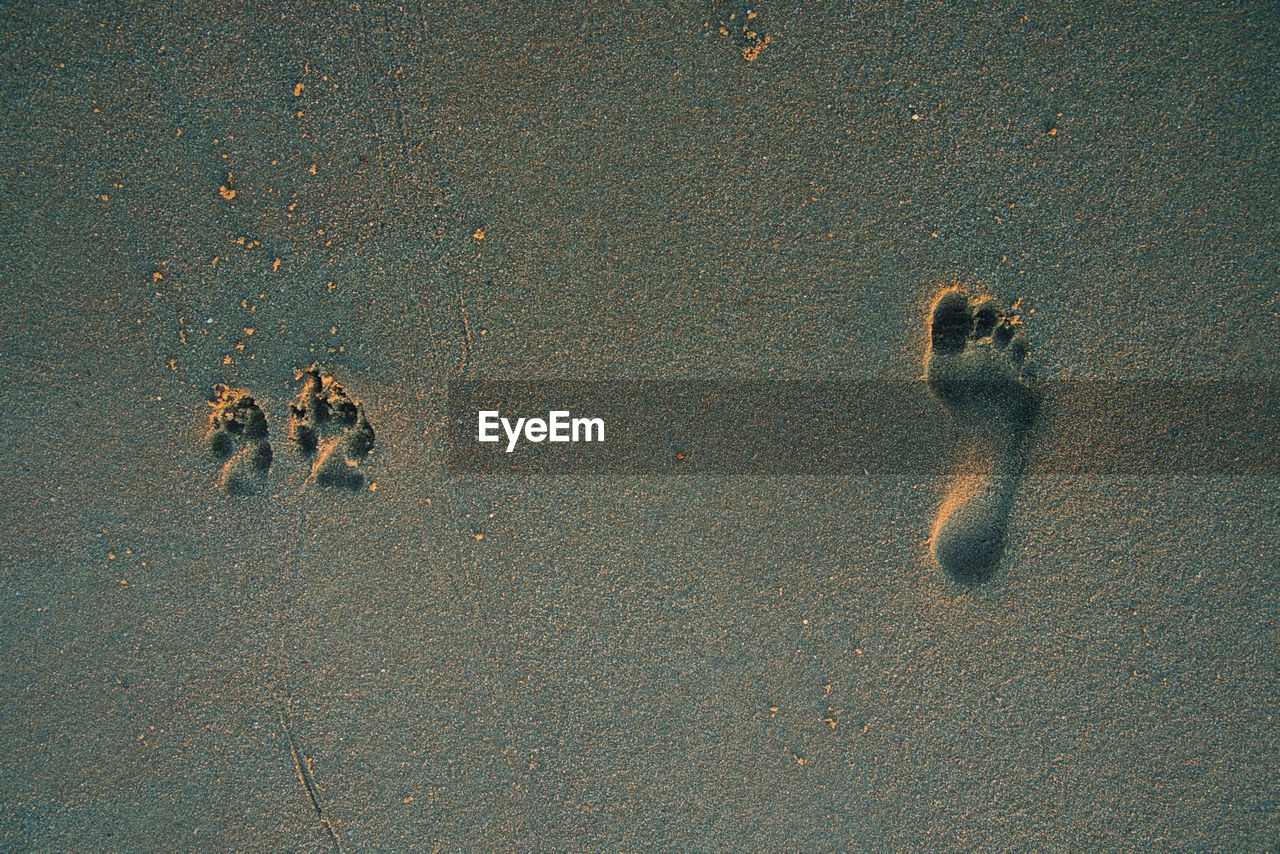 Footprints at danish beach