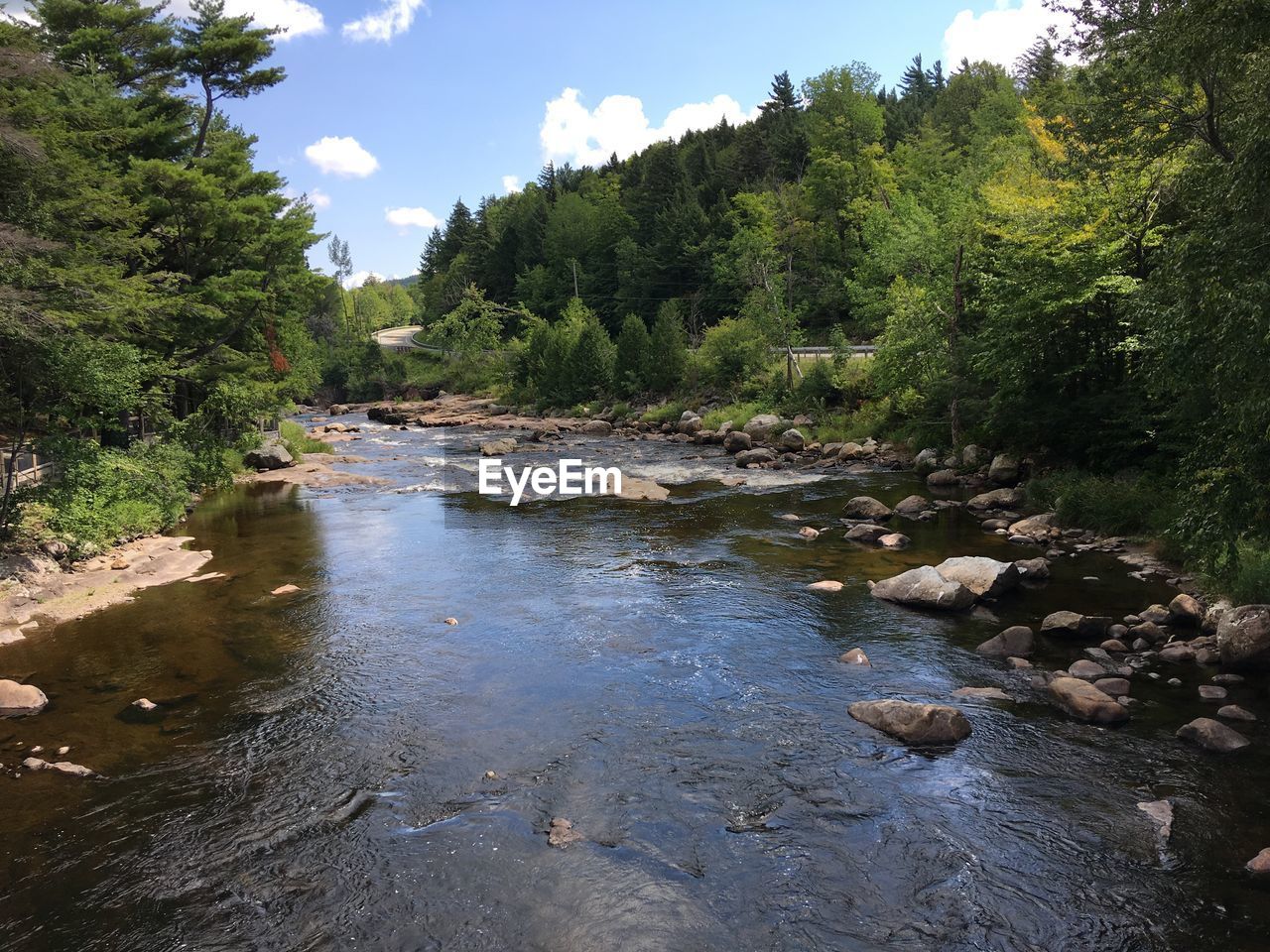 River flowing through rocks in forest against sky