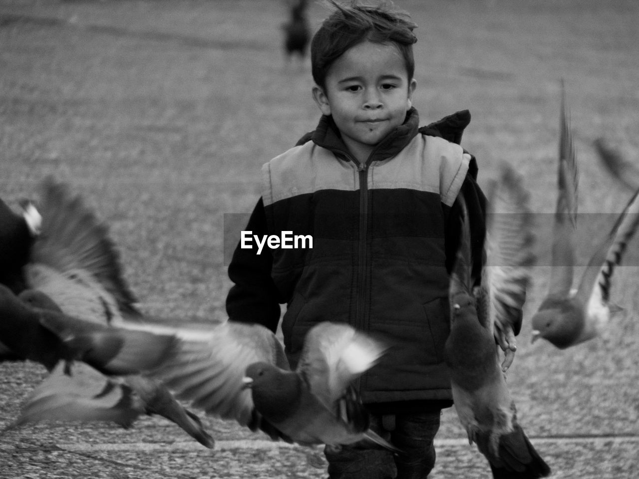 Boy walking by flying birds at footpath