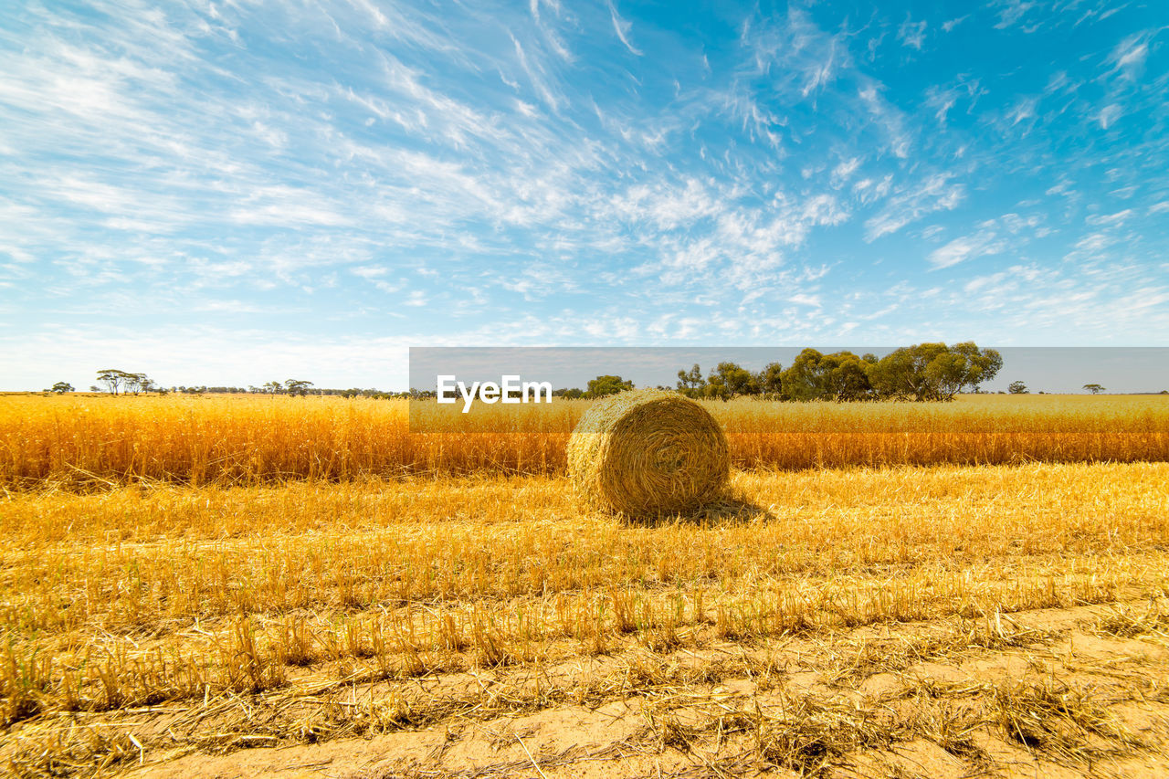 Hay bales on field against sky