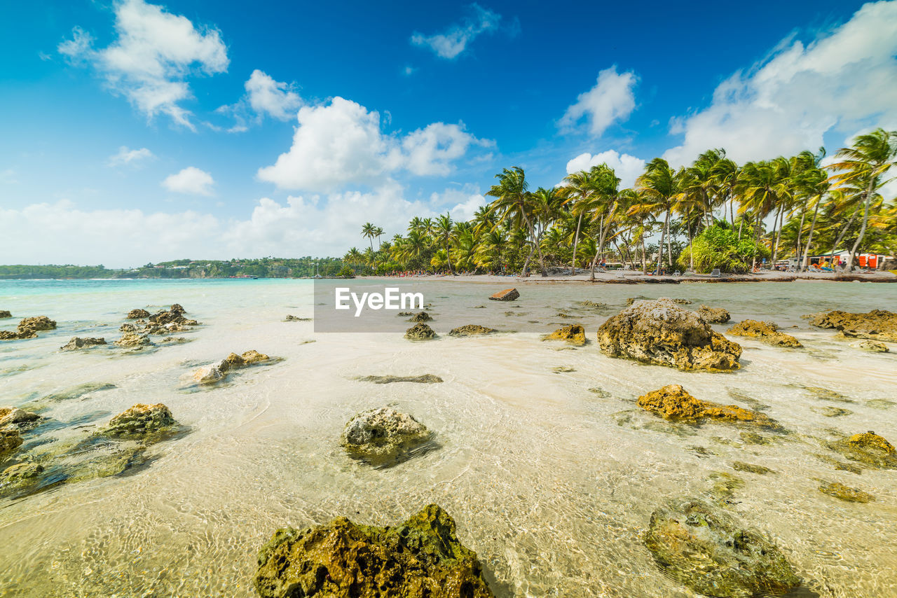 SCENIC VIEW OF BEACH