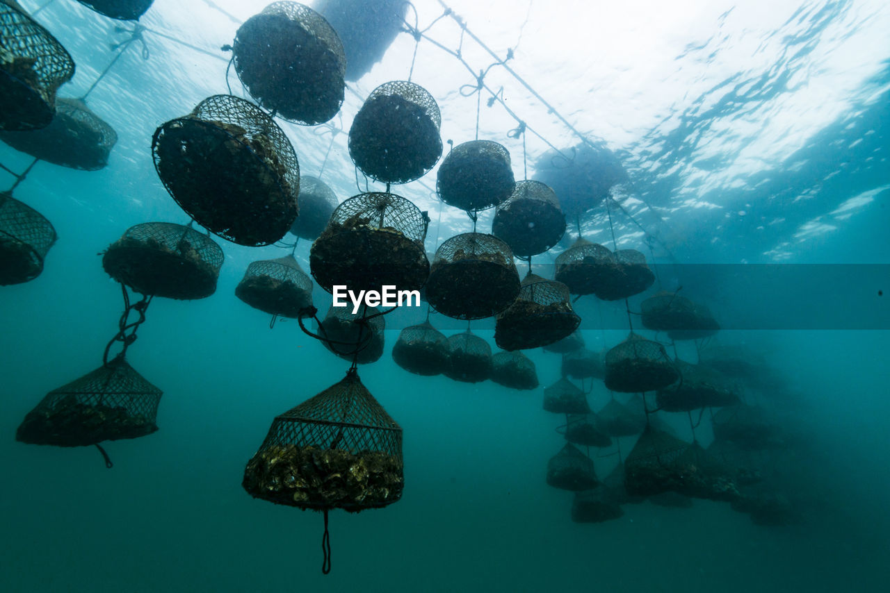 Oyster farm, ishikawa, notojima , japan