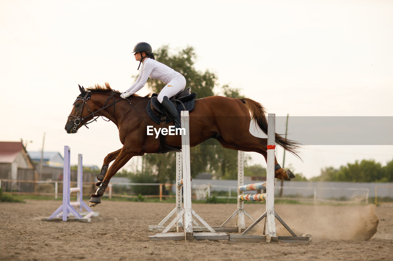 side view of man riding horse on field