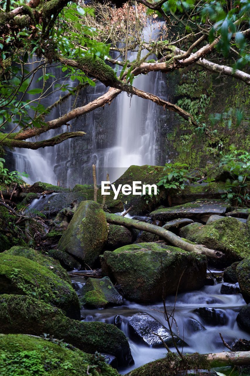 WATER FLOWING THROUGH ROCKS IN FOREST