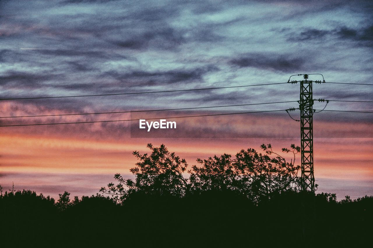 SILHOUETTE OF TREES AGAINST CLOUDY SKY