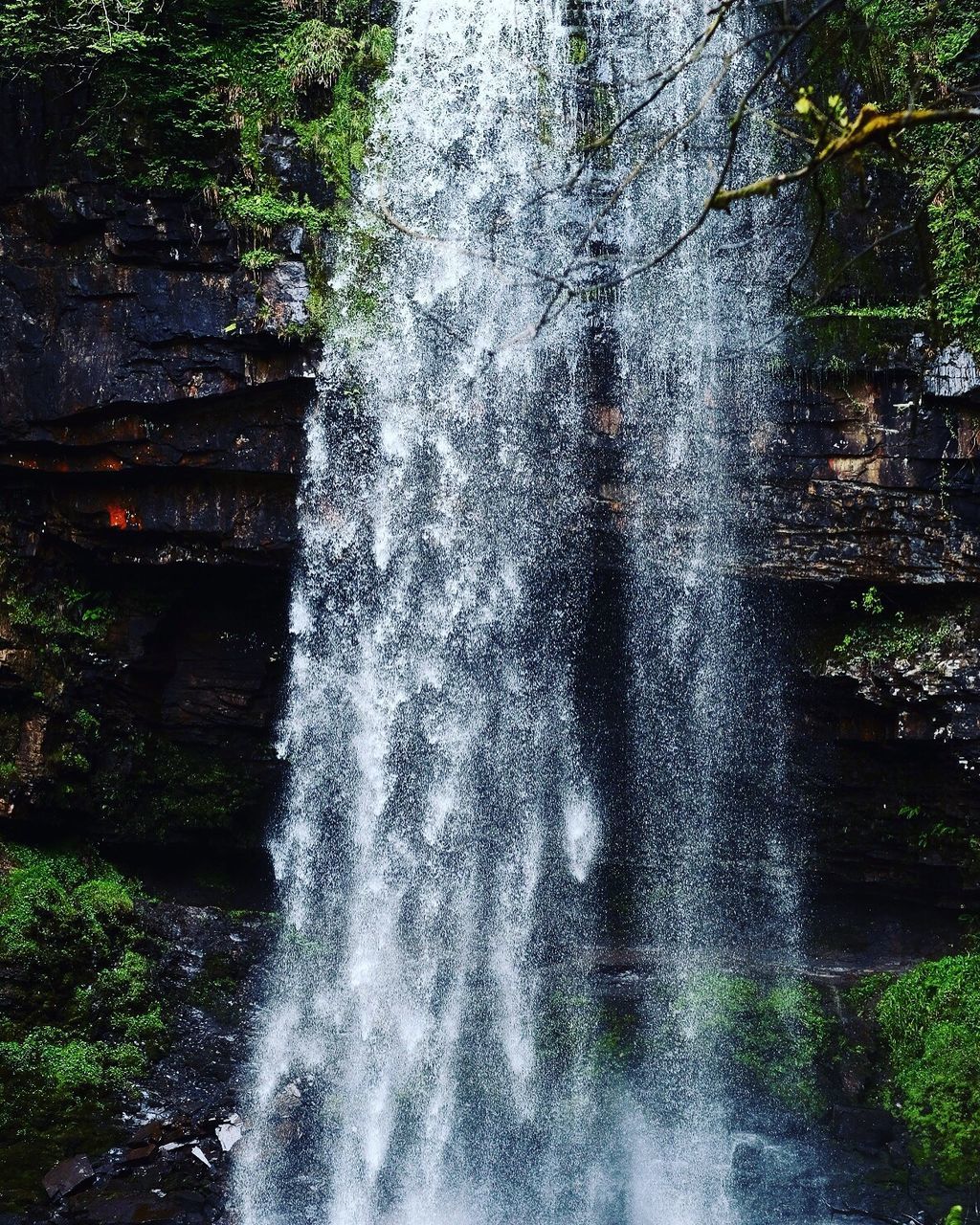 Water splashing in forest