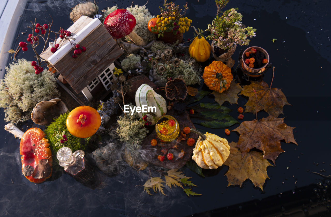 HIGH ANGLE VIEW OF FRUITS AND VEGETABLES ON TABLE