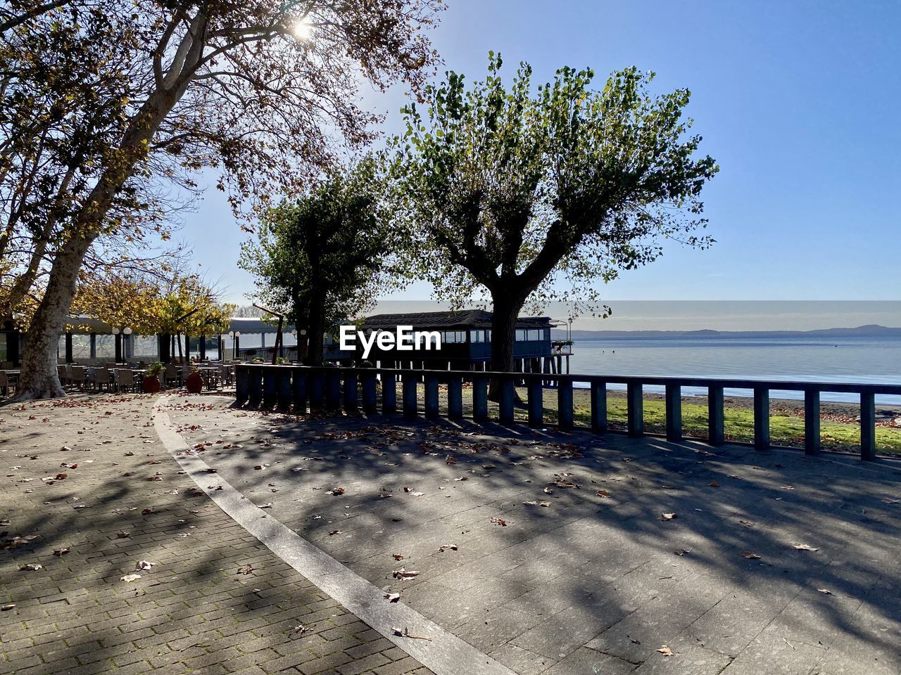 tree, plant, sky, nature, water, land, sunlight, sea, beach, beauty in nature, tranquility, no people, walkway, scenics - nature, shadow, day, tranquil scene, outdoors, clear sky, architecture, shore, sunny, sand, fence, travel destinations, footpath, railing, landscape, built structure, boardwalk