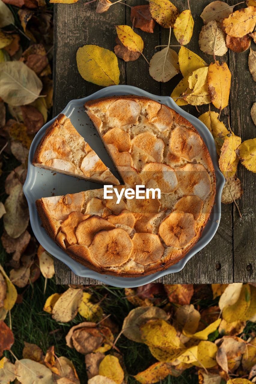 Homemade apple pie with autumn leaves. aesthetic food background