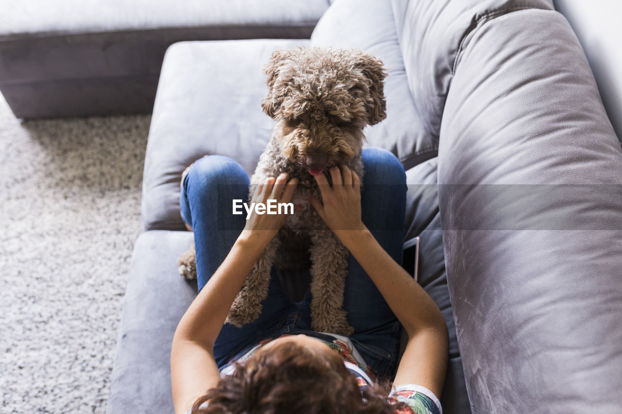 Woman stroking spanish water dog on sofa at home