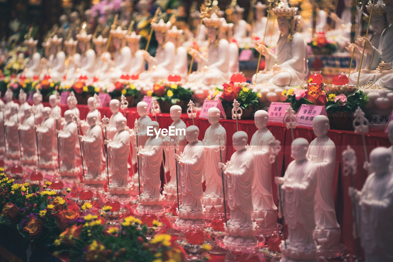 PANORAMIC VIEW OF FLOWER IN ROOM