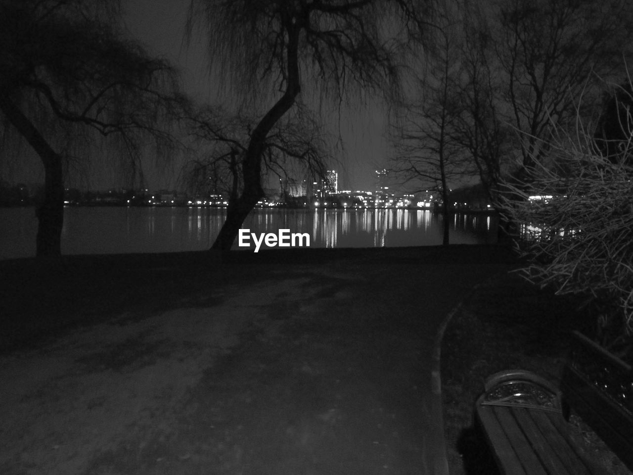 ILLUMINATED TREES BY RIVER DURING WINTER