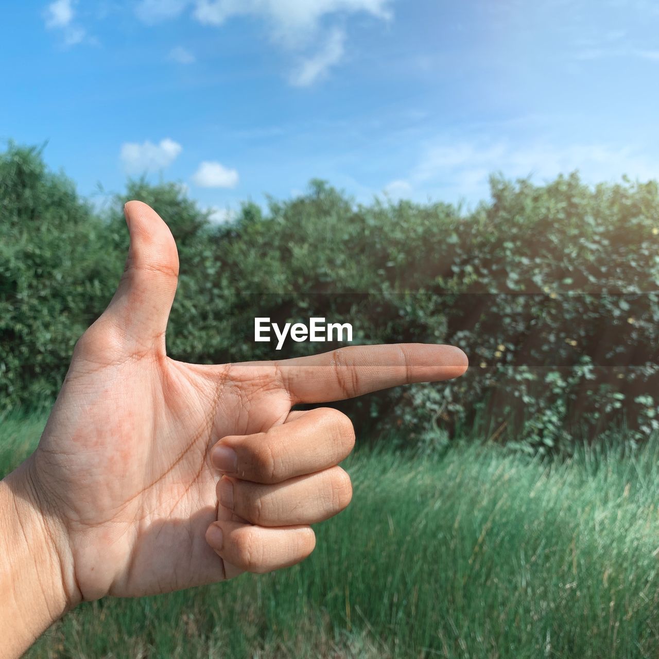 Cropped image of hand gesturing against trees