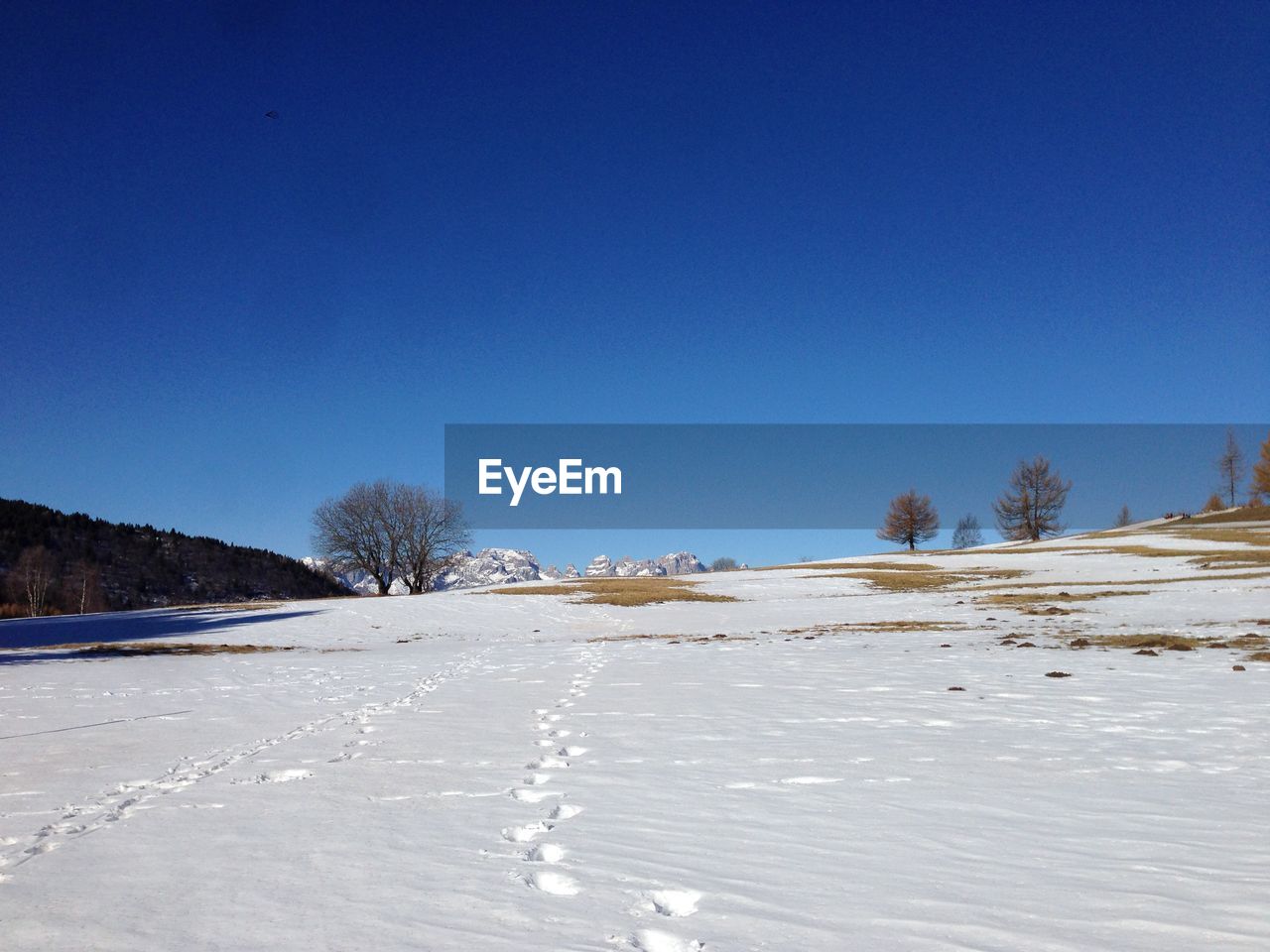 Snow covered field against clear blue sky