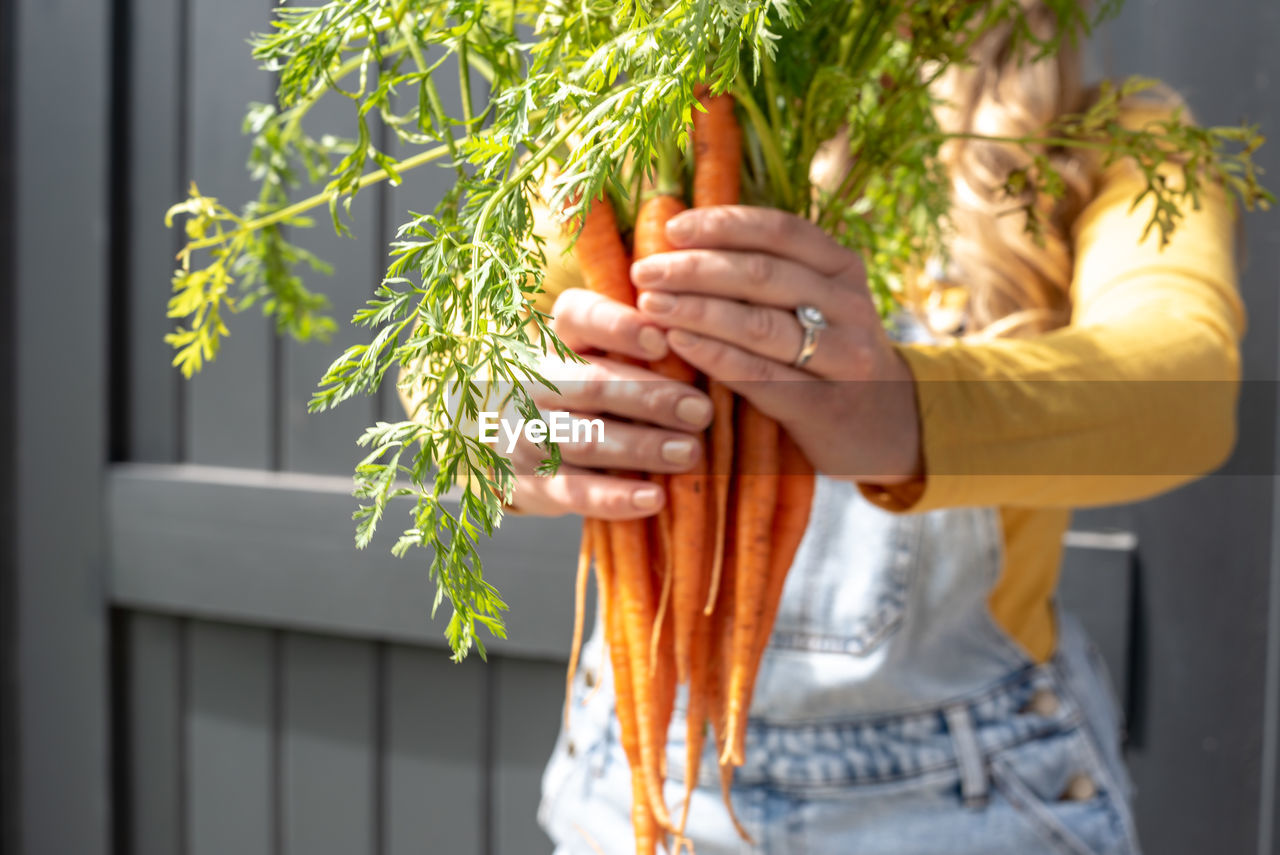Midsection of woman holding carrots
