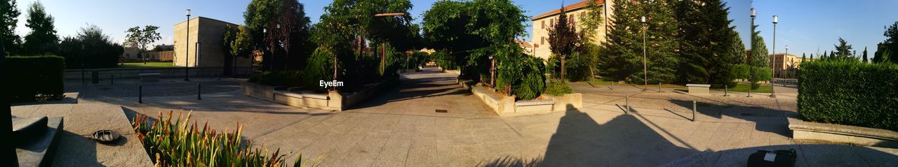 PANORAMIC VIEW OF TREES AGAINST SKY