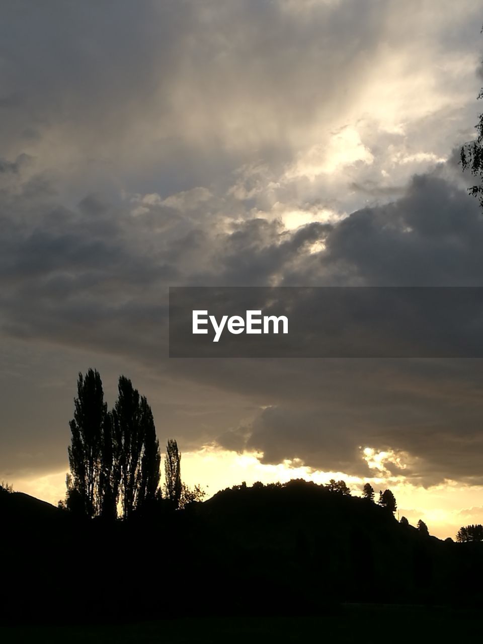 SILHOUETTE TREES ON LANDSCAPE AGAINST SUNSET SKY
