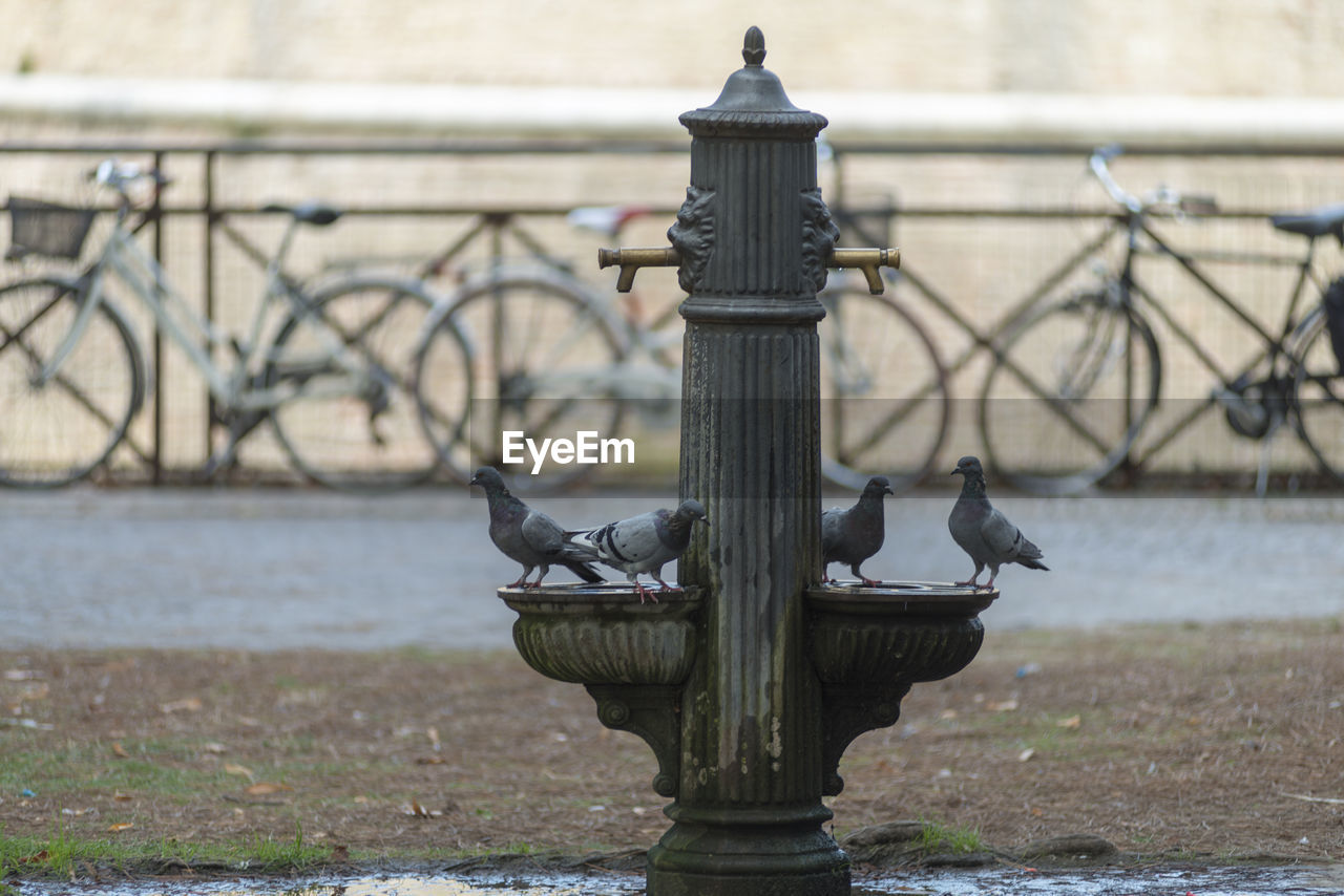 Close-up of railing by river in city