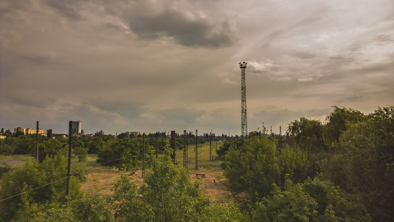 Plants on field against sky