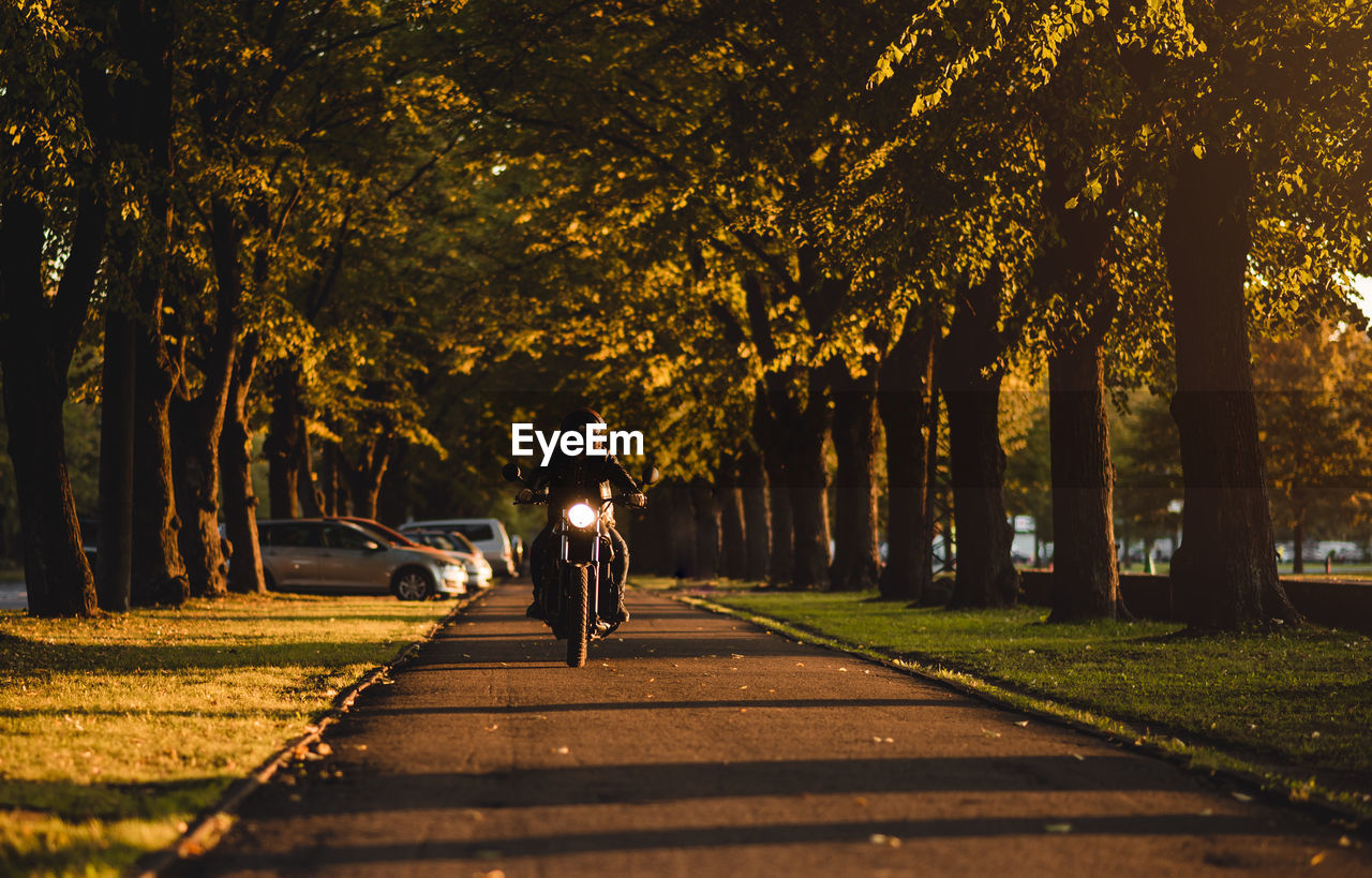 Man on street among trees