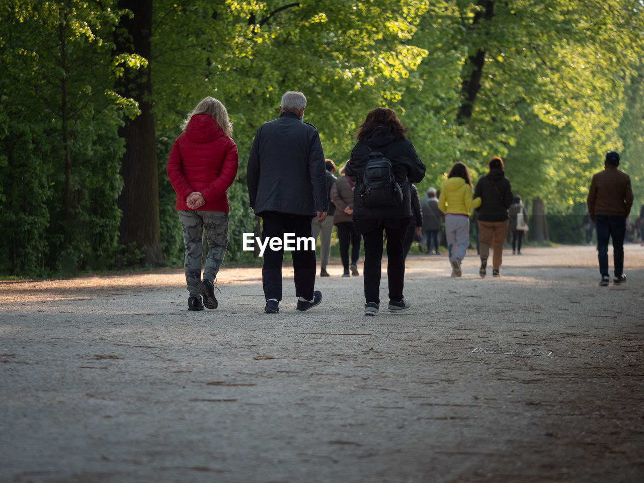 REAR VIEW OF PEOPLE WALKING ON FOOTPATH AGAINST TREES