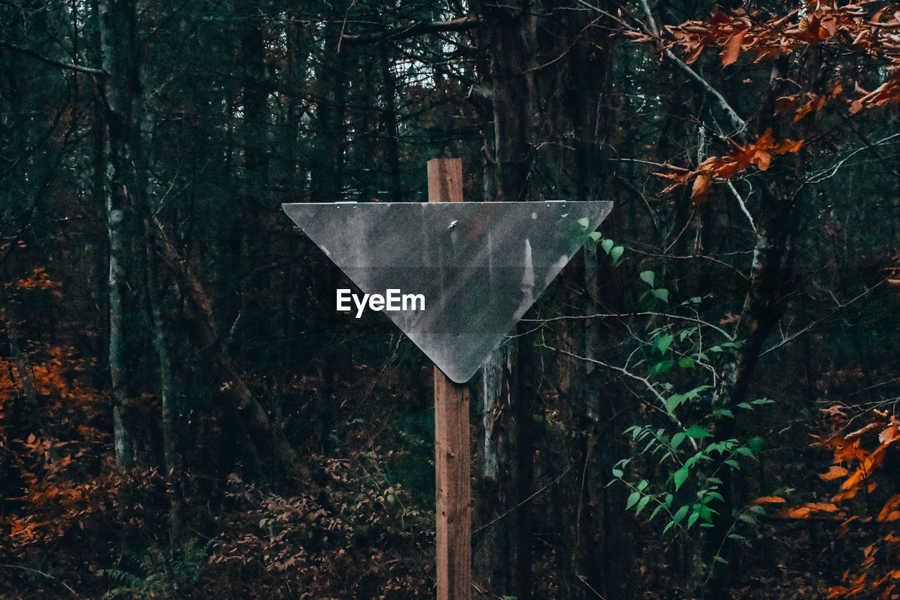 An old blank metal sign in a dead autumn forest