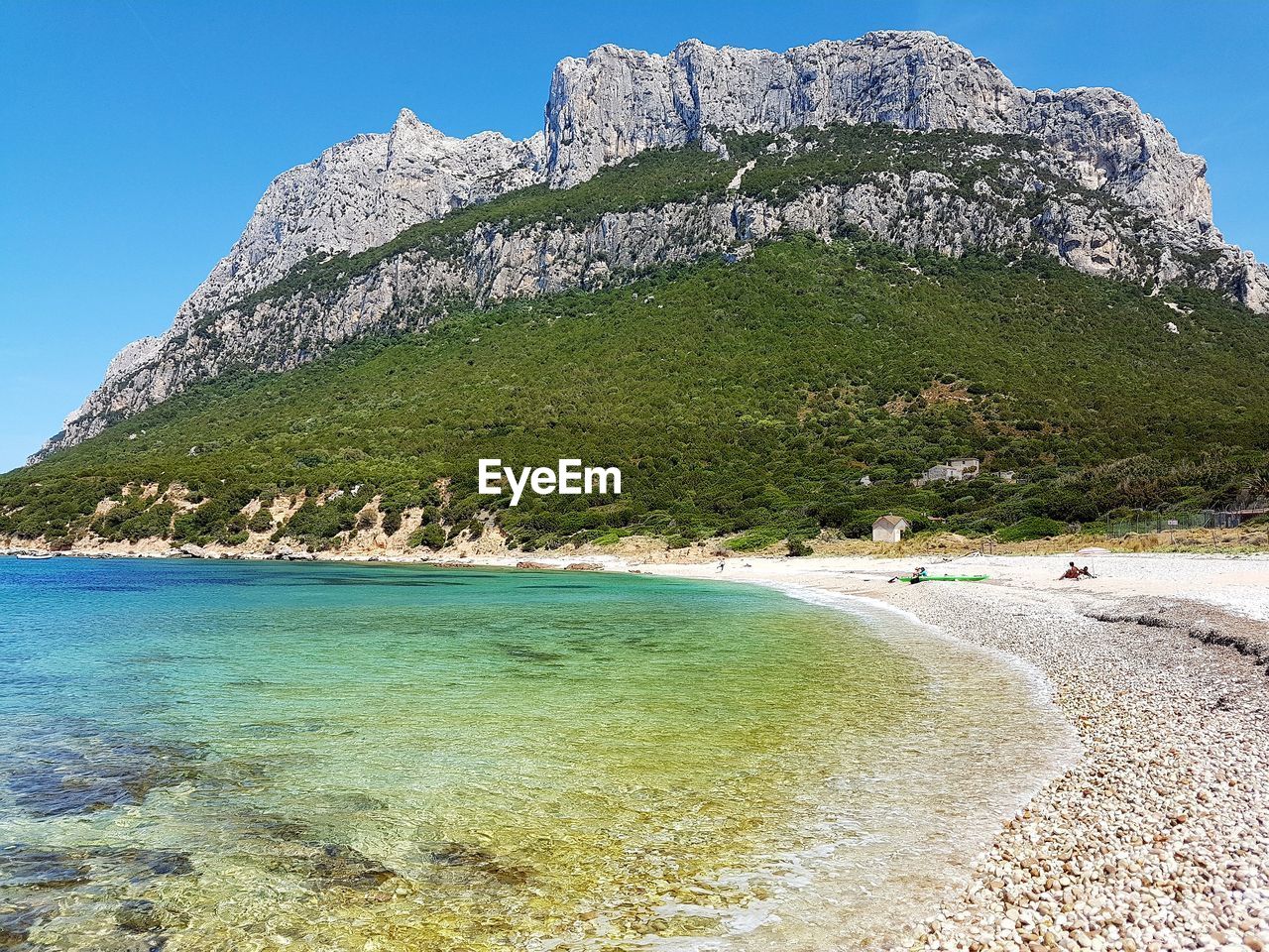 SCENIC VIEW OF BEACH