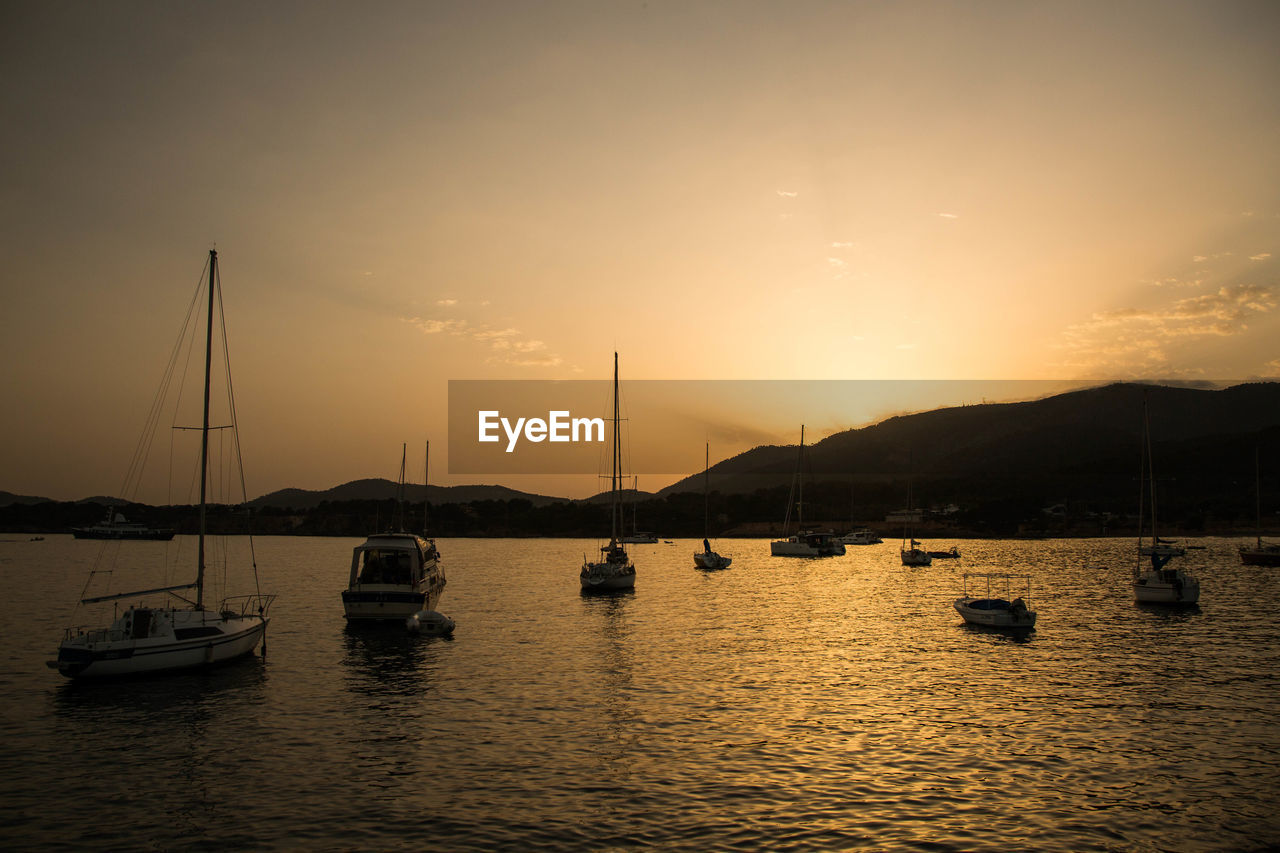 Sailboats moored in marina at sunset