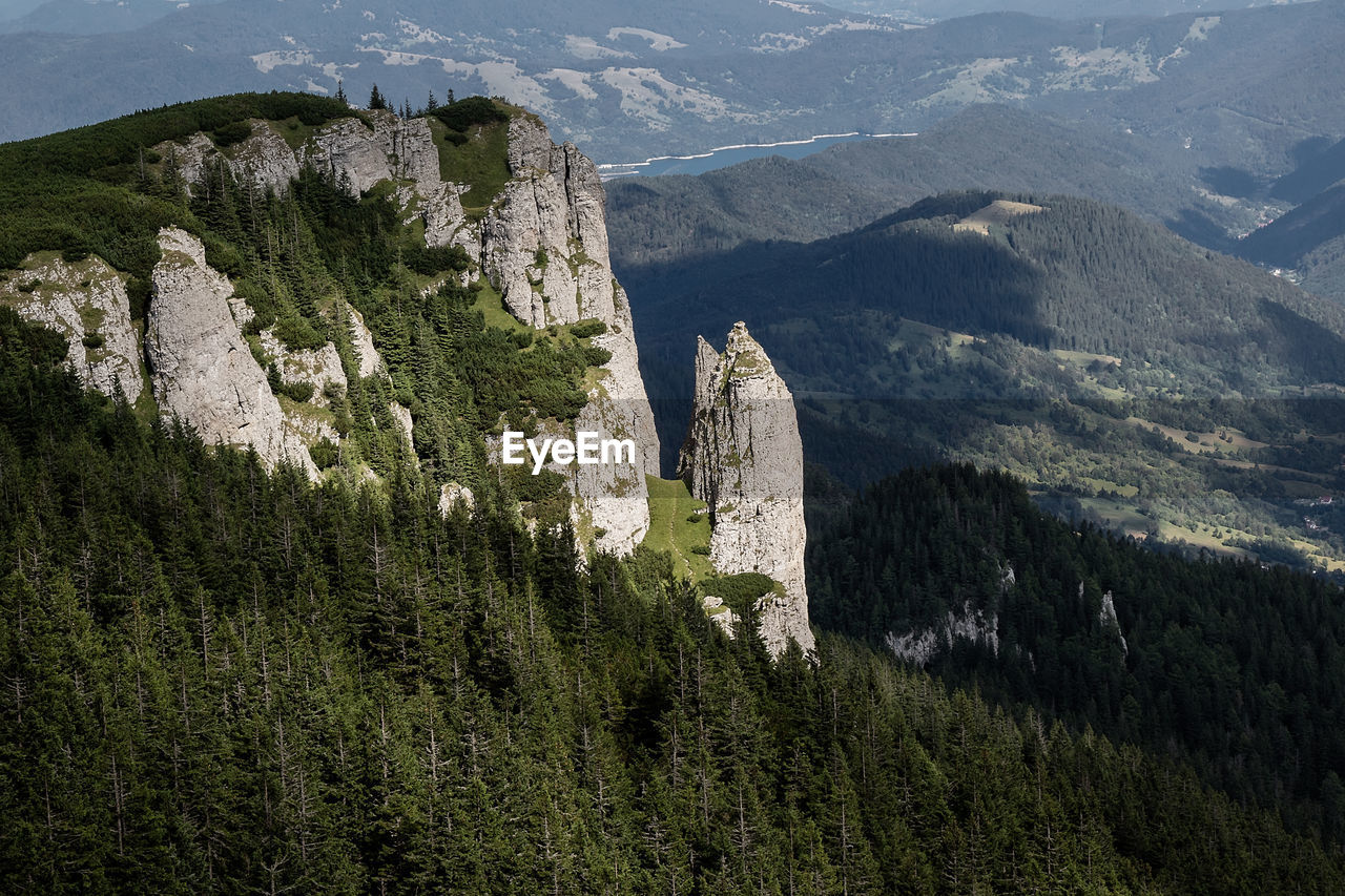 SCENIC VIEW OF TREE MOUNTAIN AGAINST SKY