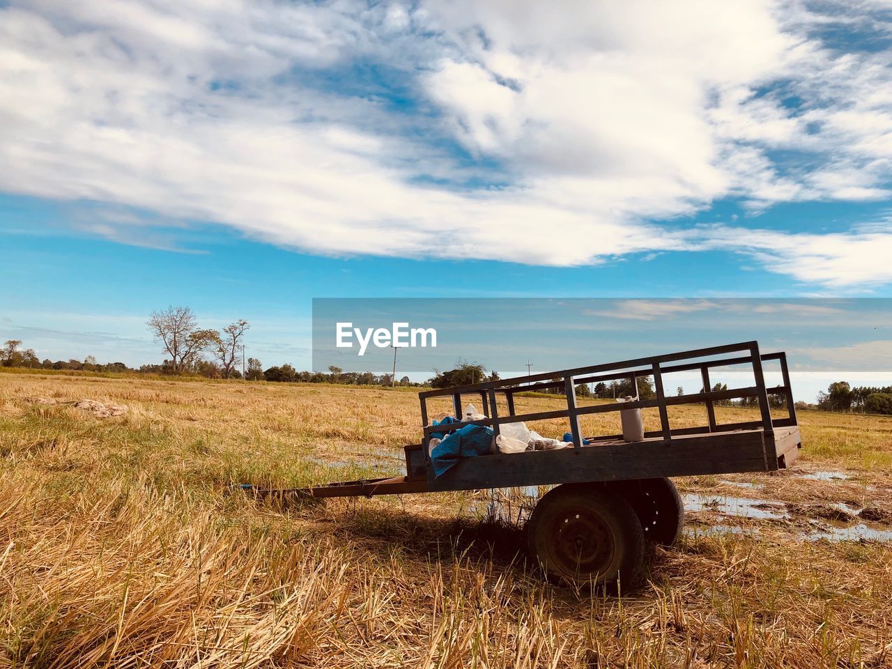 MAN RELAXING ON AGRICULTURAL FIELD