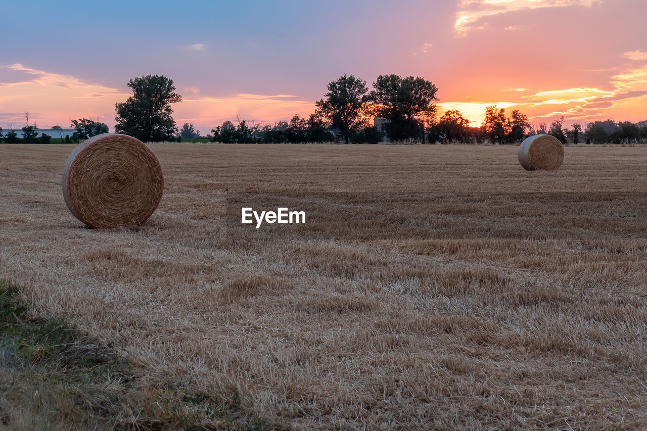 HAY BALES ON FIELD DURING SUNSET