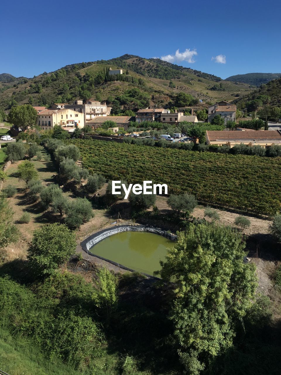 High angle view of trees in porrera, tarragona