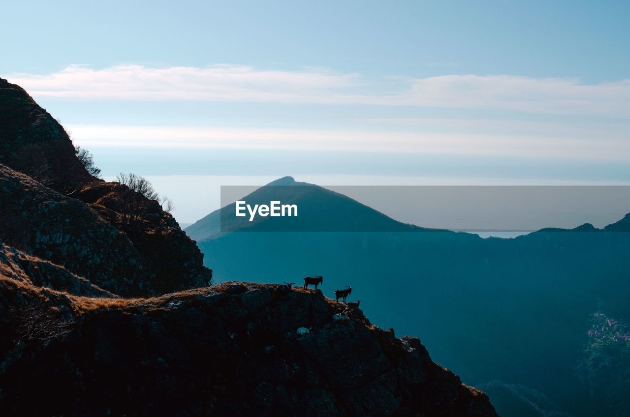 Scenic view of mountains against sky, and two goat