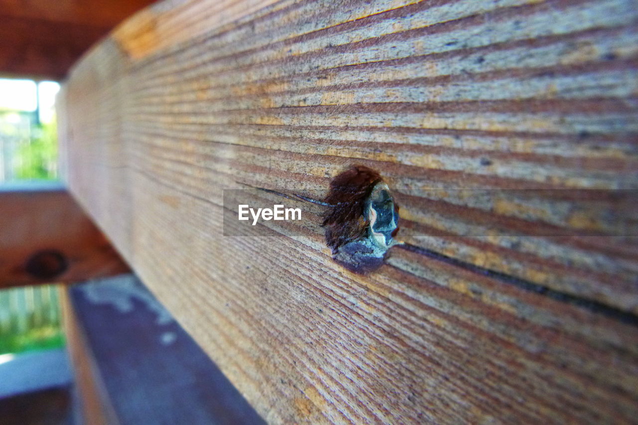 HIGH ANGLE VIEW OF A INSECT ON WOOD