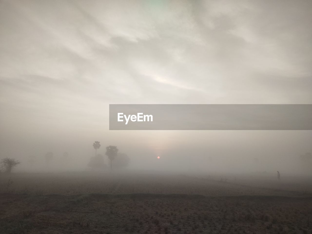 SCENIC VIEW OF FOG ON FIELD AGAINST SKY