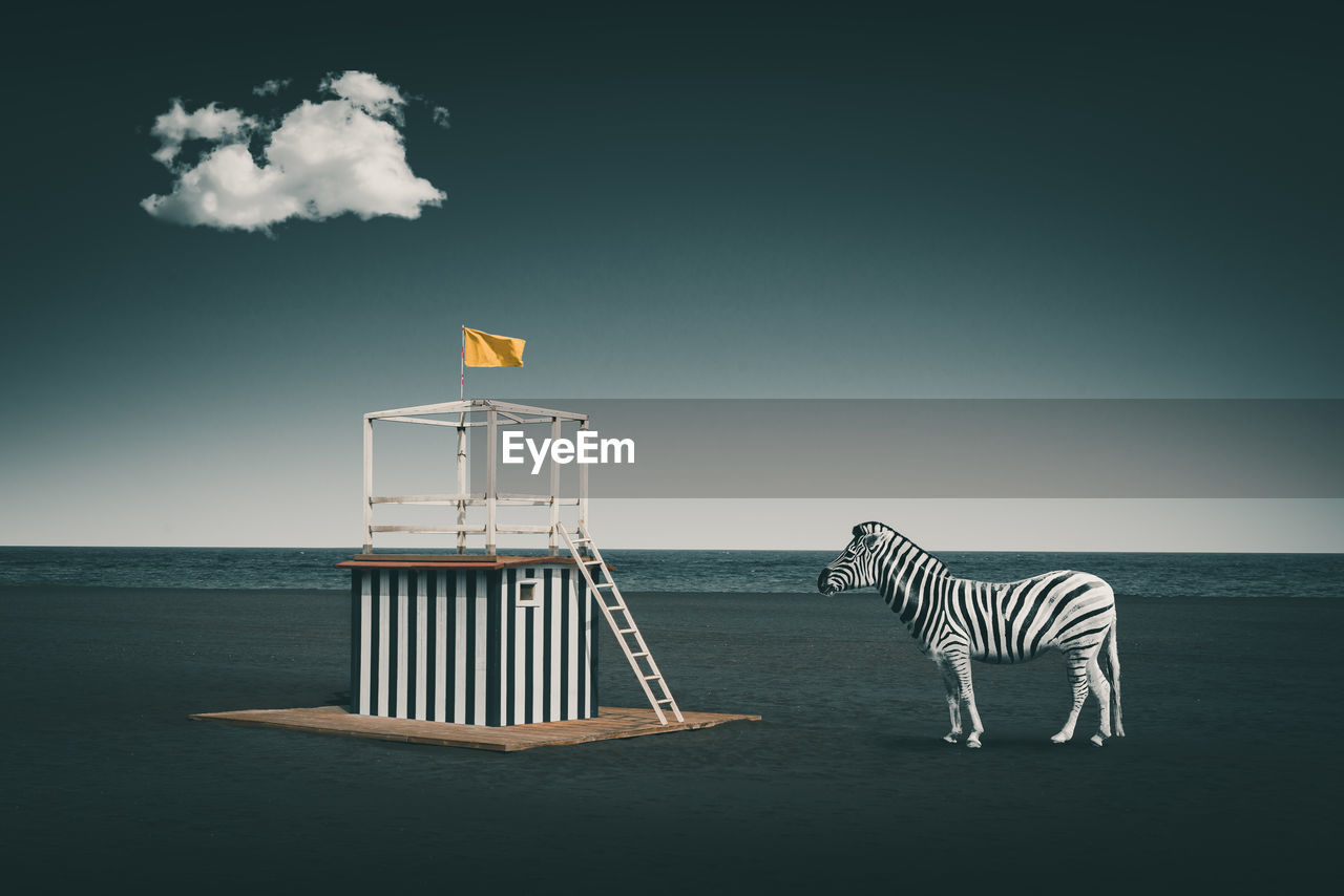 Digital composite image of zebra by lifeguard at beach