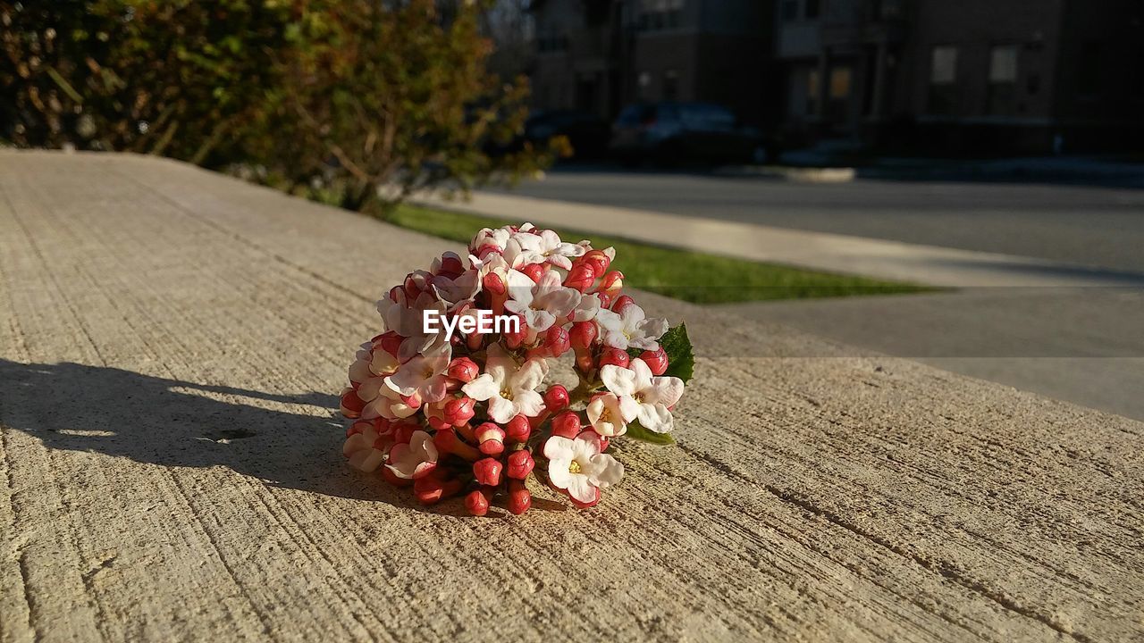 Fresh flower bouquet on surface in park