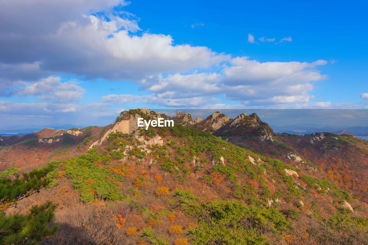 Autumn  korea at dobong mountian  in south korea