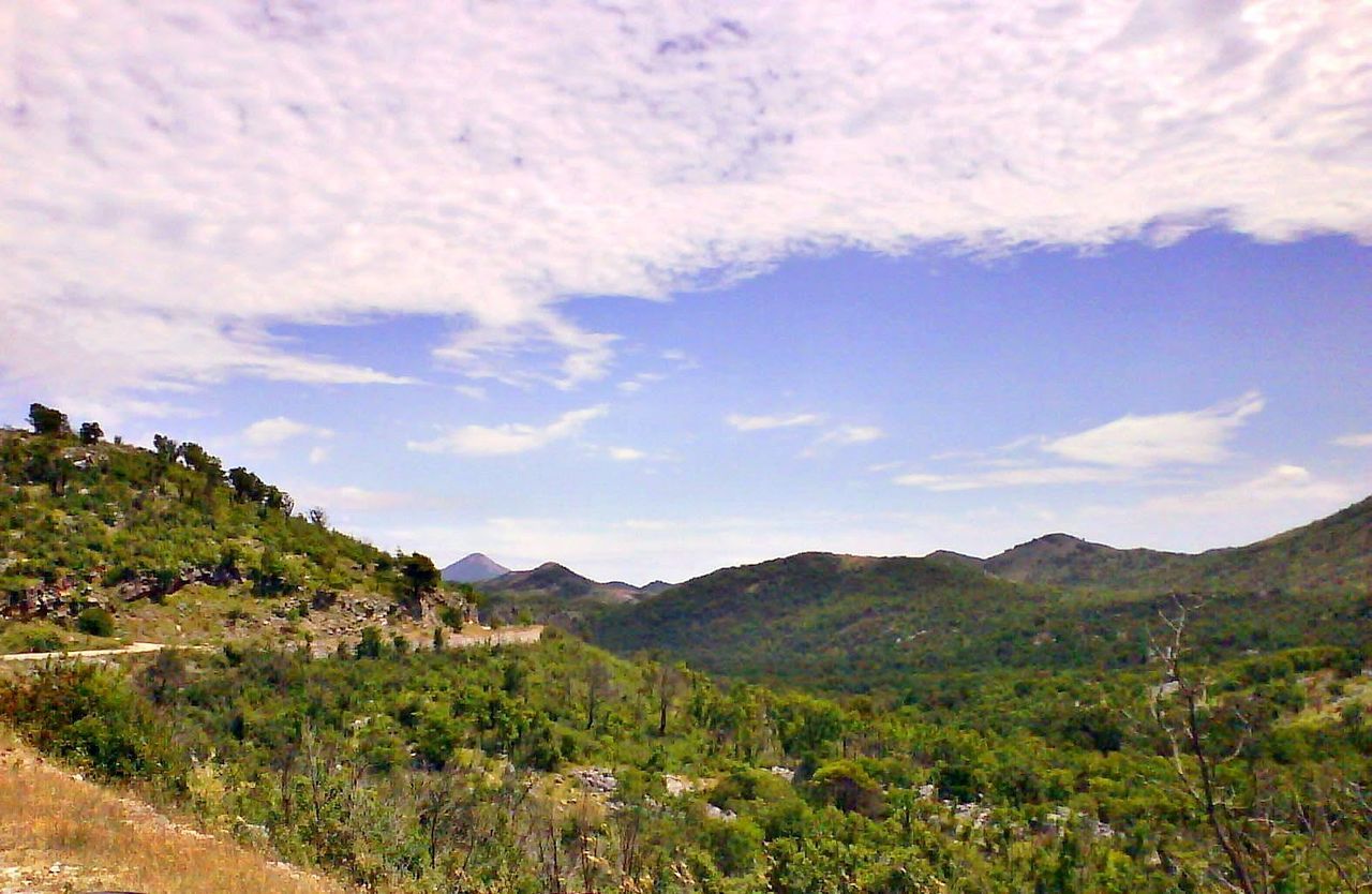 SCENIC VIEW OF TREE MOUNTAINS AGAINST SKY