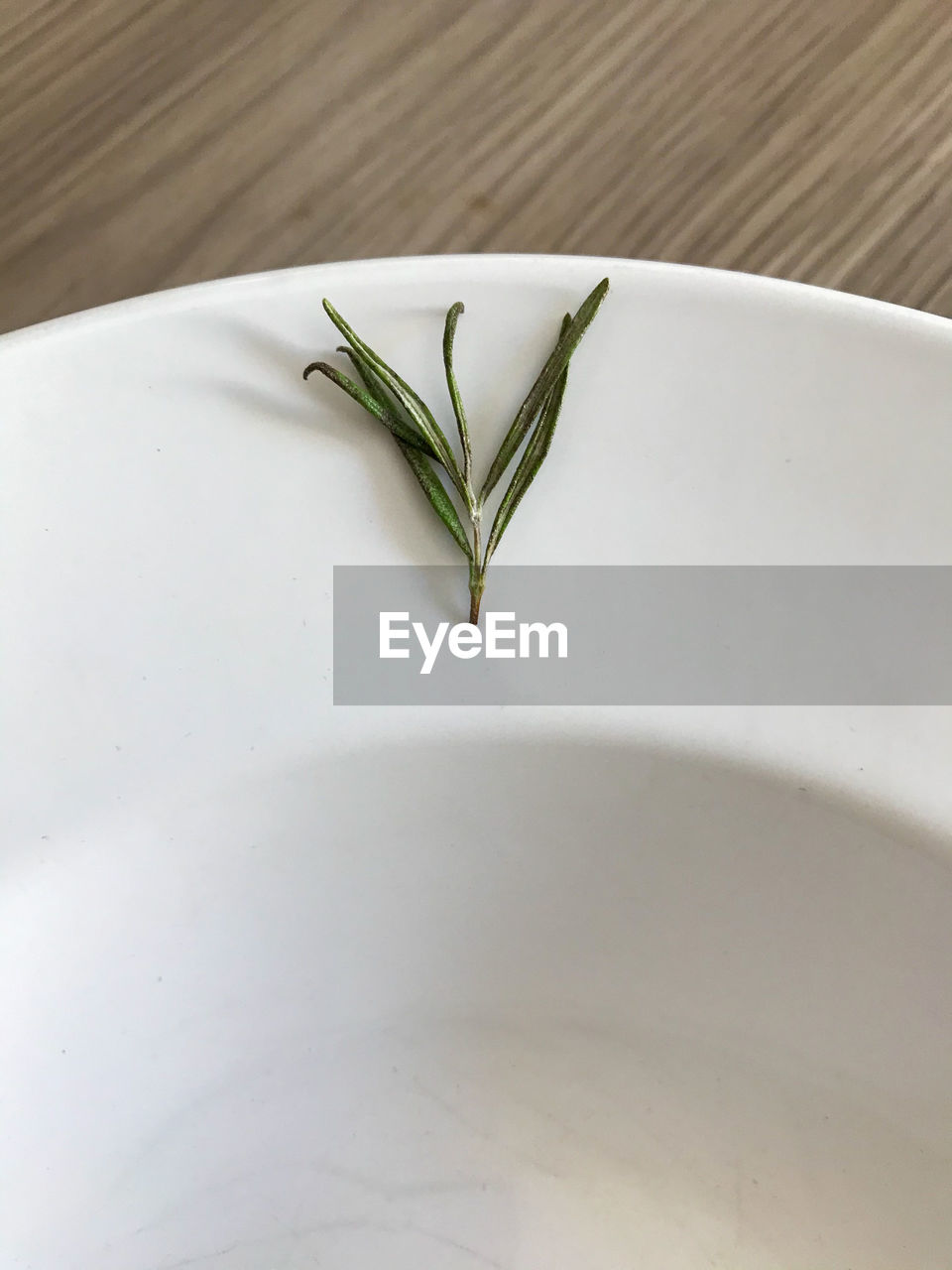 HIGH ANGLE VIEW OF PLANT ON TABLE