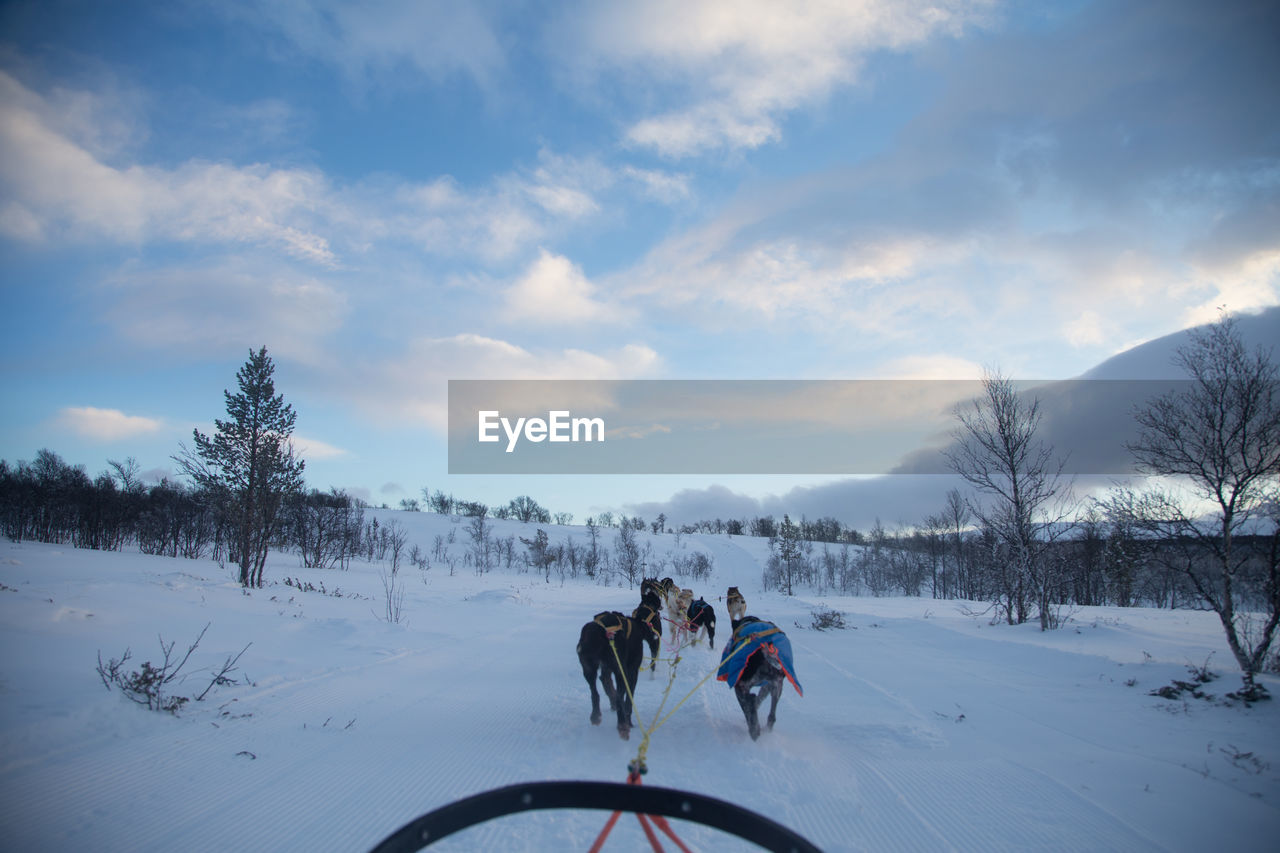 VIEW OF PEOPLE ON SNOW COVERED LANDSCAPE